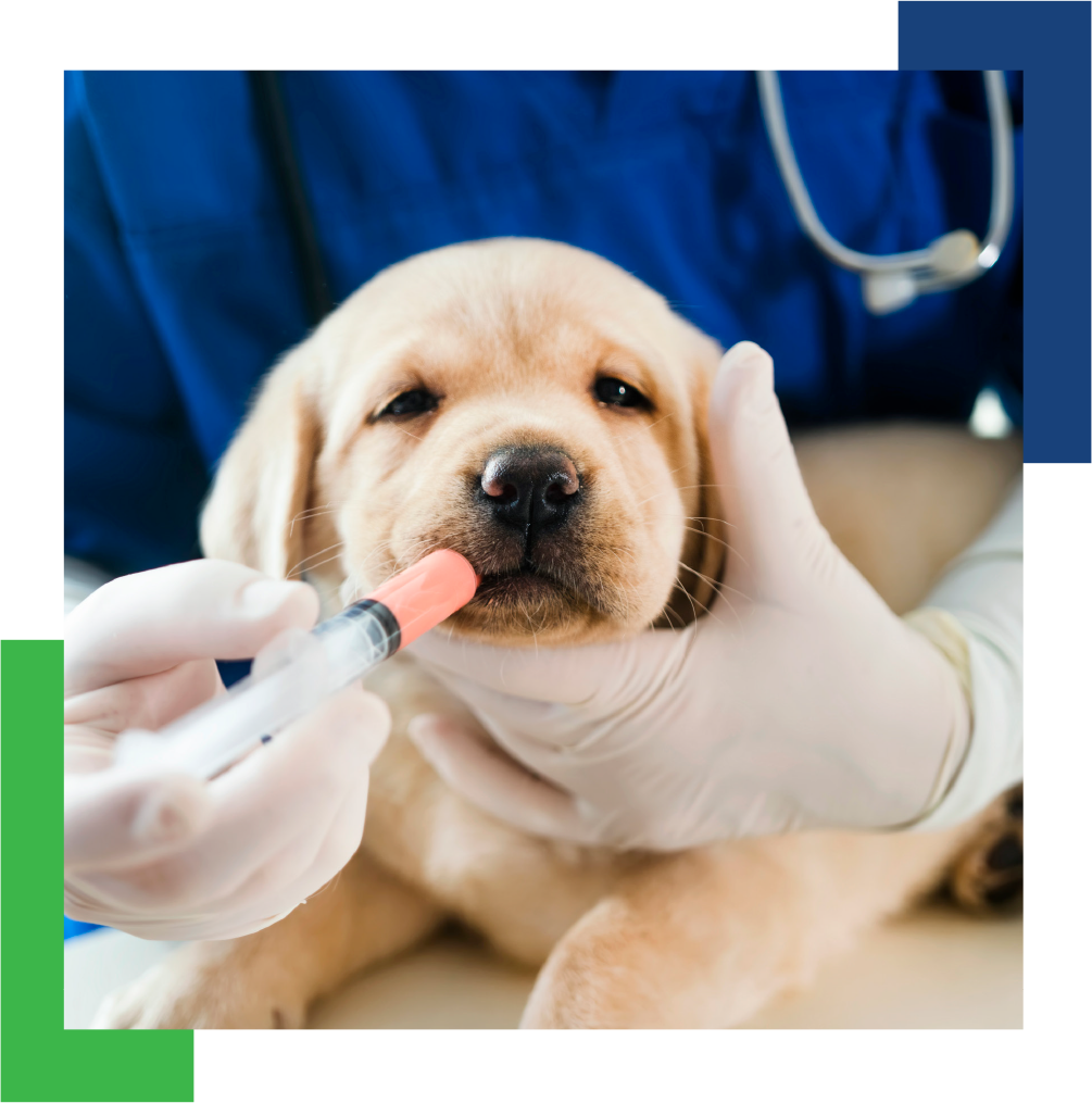 LC22_Health-vet-bracket-img-1