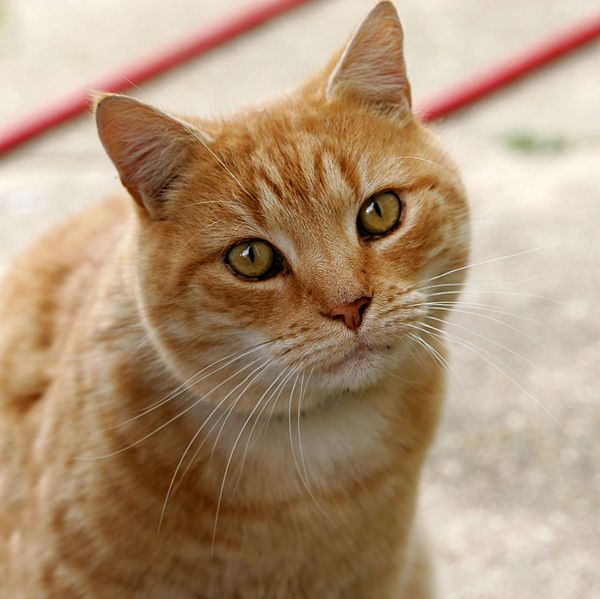 slider_pic
